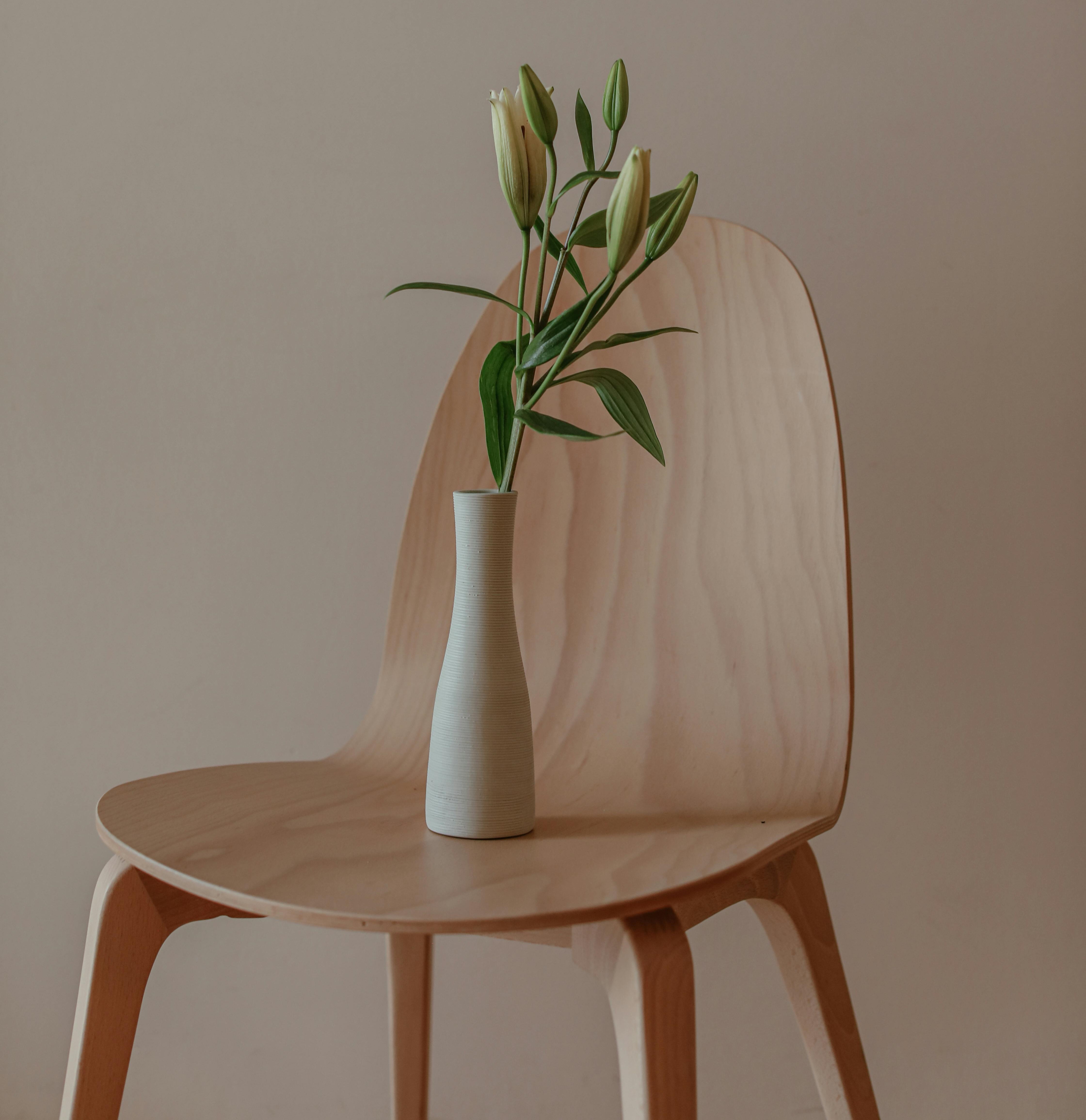 Bentwood Minimalist Chair