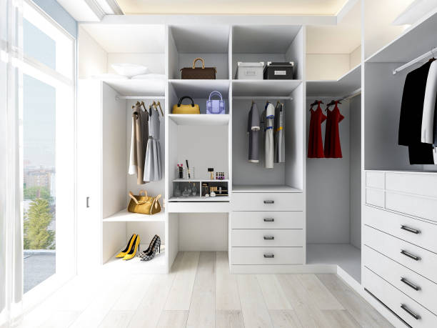 Contemporary Walk-in Closet with Dressing Area